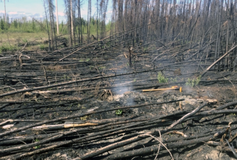 ‘Nothing Left to Burn’: Wildfires Blaze Through the Arctic