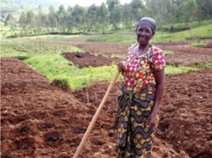 Screenshot-2022-09-13-at-12.08.44-300x223