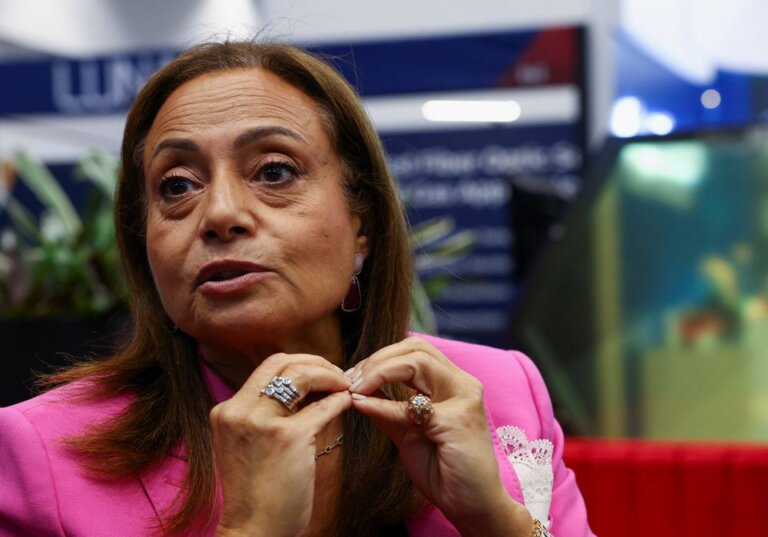 African Countries to Push for More Fossil Fuel Projects at COP27