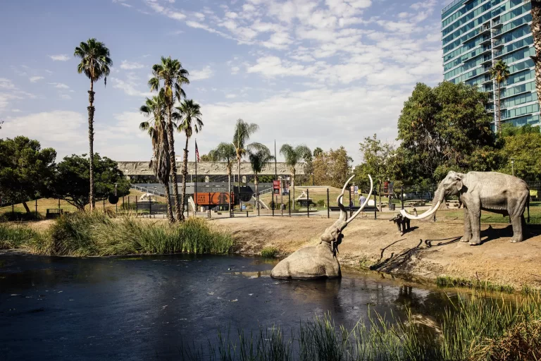 A Fossil Museum Uses the Past to Reimagine Climate’s Future