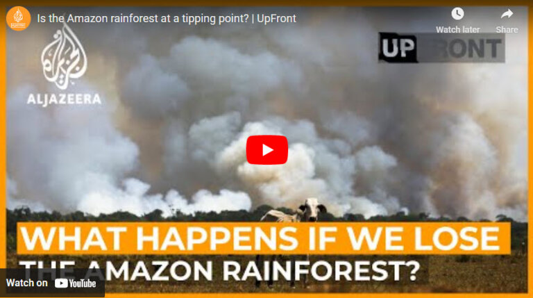 Is the Amazon Rainforest at a Tipping Point?