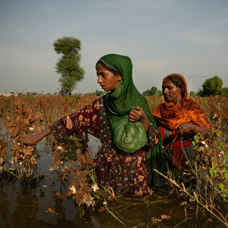 Battered by Floods and Trapped in Debt, Pakistani Farmers Struggle to Survive