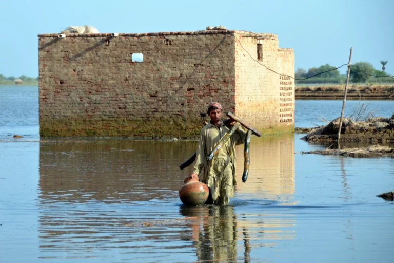 Pakistan Flood Losses Estimated at $40bn: Ex-Finance Minister