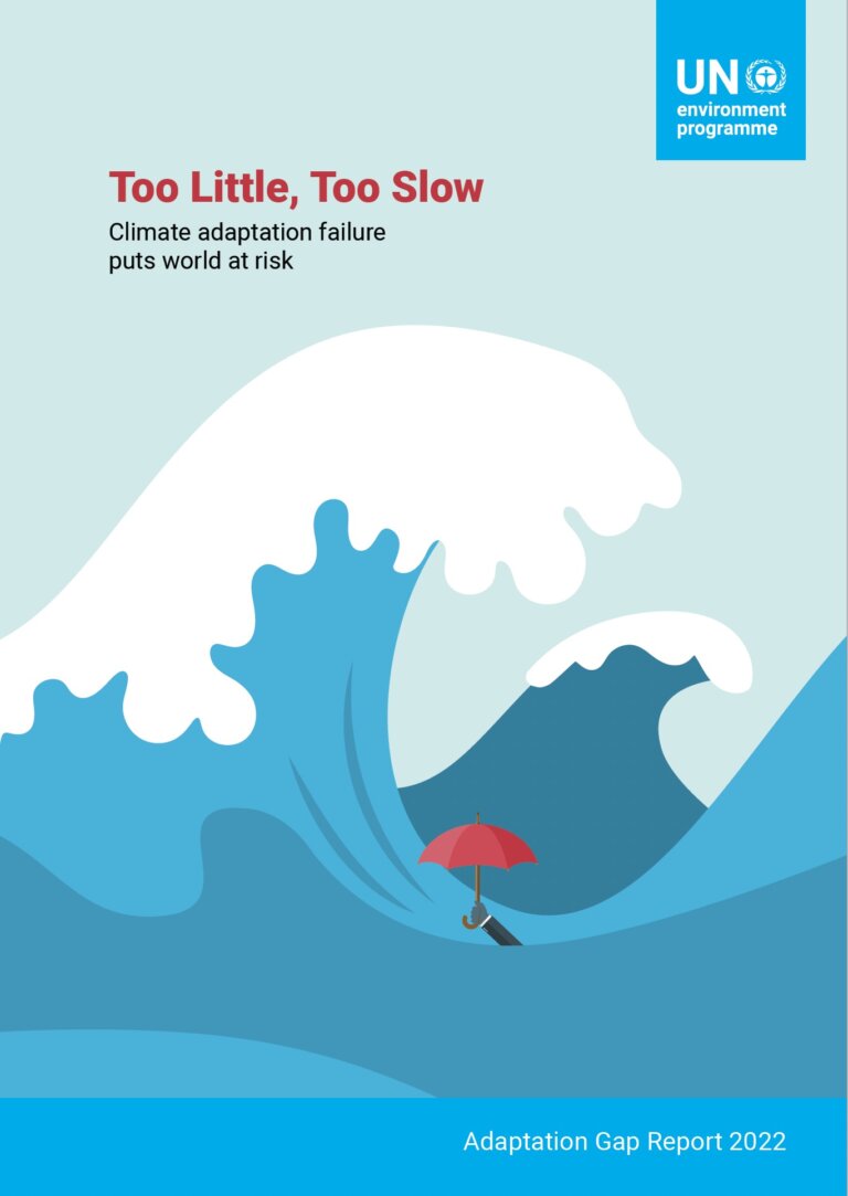 Adaptation Gap Report