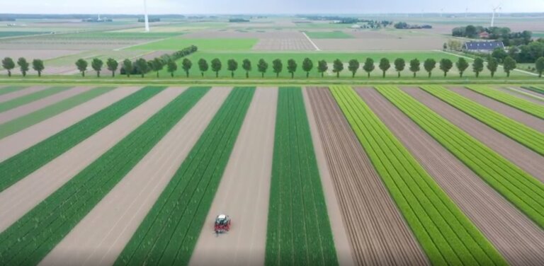 Cutting-Edge Tech Made This Tiny Country a Major Exporter of Food