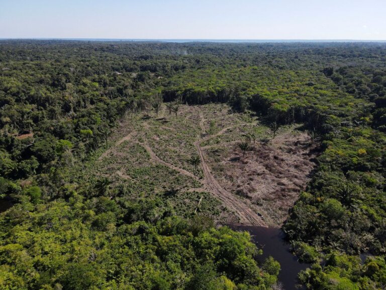 Witness to Paradise Being Lost: My Year in the Dying Amazon