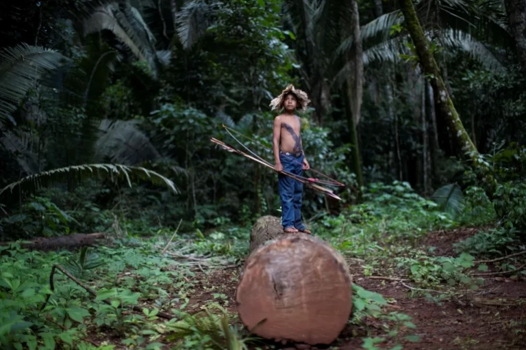 How the EU Can Help Save Indigenous Lives and the Amazon