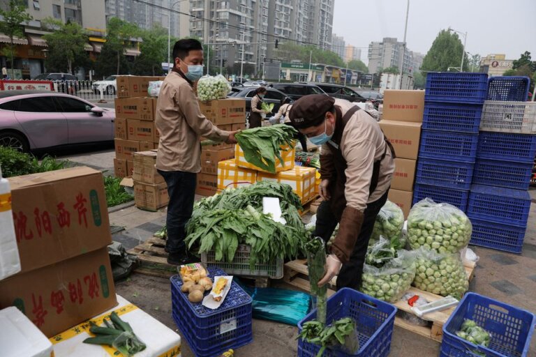 China Eyes 10% Cut in Pesticide Use on Fruit, Vegetables by 2025