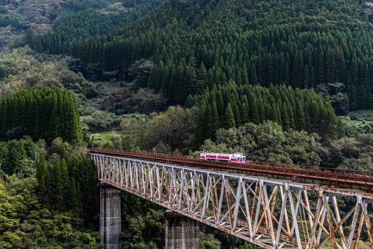 Fuel Made From Ramen, Dishes From Coffee Grinds: Japan Rethinks Food Waste