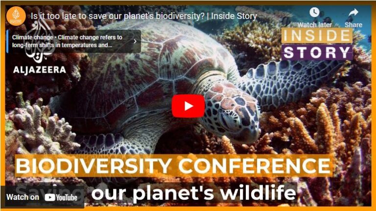 Nations Agree on Historic Deal in Montreal to Protect Nature