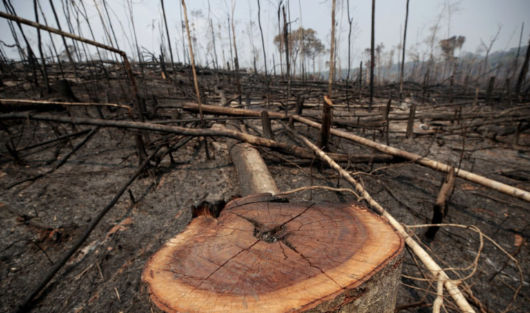 Analysis: Protecting 30% of the Planet to Save Nature is Not as Simple as it Sounds