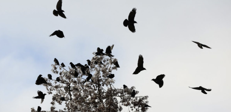 Britain Sets Out New Legally Binding Environmental Targets