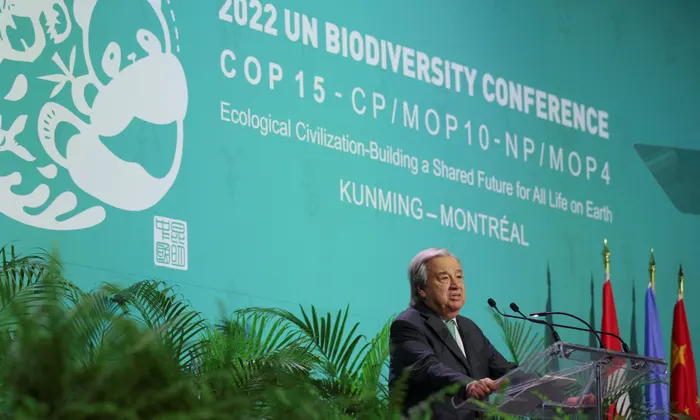 UN Head Opens COP15 With Stark Warning of Declining Biodiversity