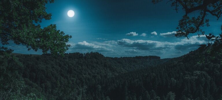 Doubling Finance Flows Into Nature-based Solutions by 2025 to Deal With Global Crises – UN Report