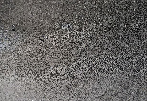 Argentine Government, Farm Exporters Seek Relief From Historic Drought