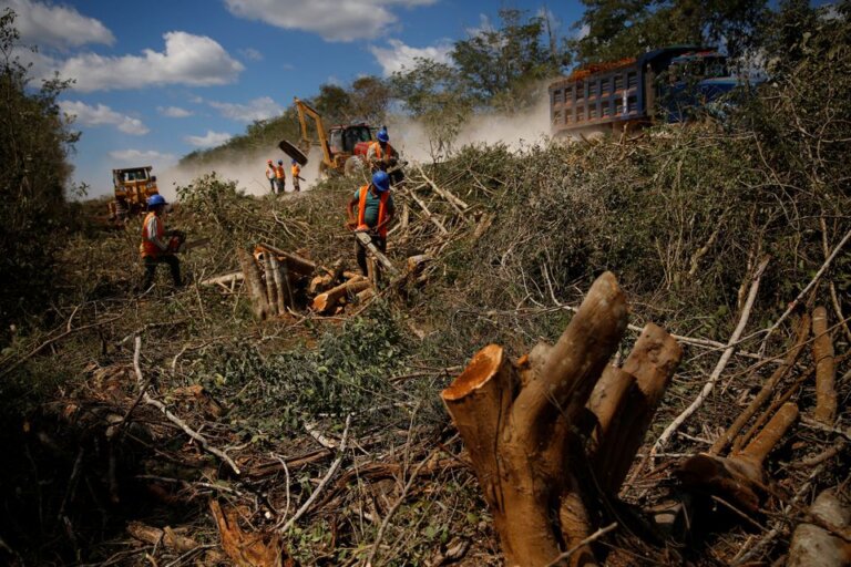 Collapse, Contamination: Mexican Scientists Sound Alarm at Mayan Train