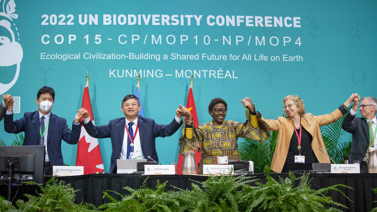 Expectations and Realities of COP15