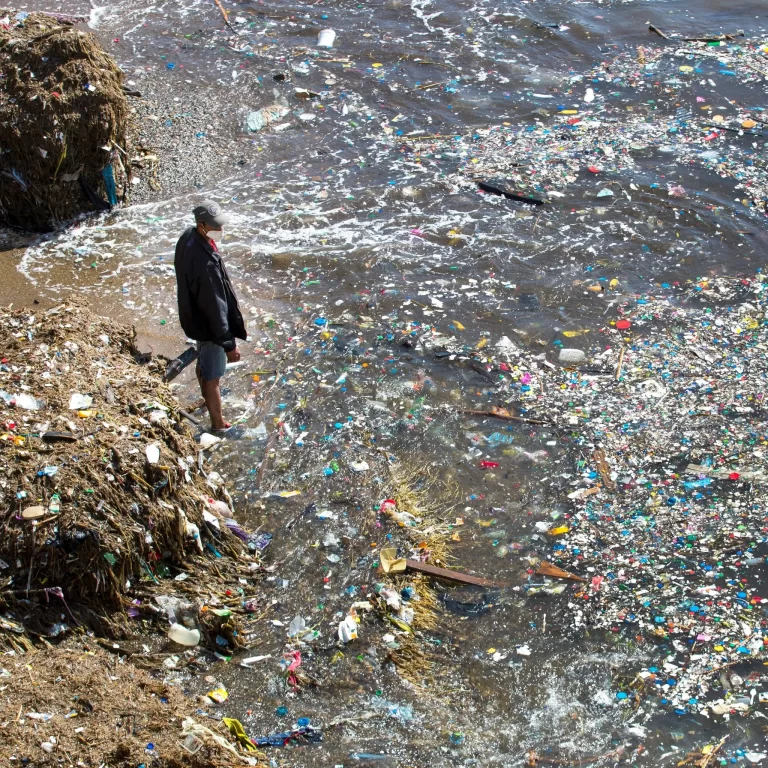 Guess What? More Plastic Trash