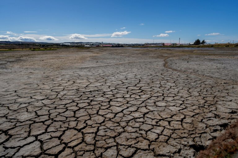‘The Grass Does Not Grow’: In Chile’s Far South, The Worst Drought In 50 Years