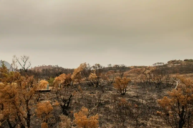 Australia faces unprecedented grassfires next summer ‘supercharged’ by global heating