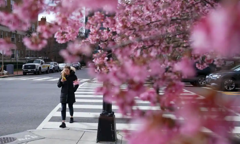 Parts of US see earliest spring conditions on record: ‘Climate change playing out in real time
