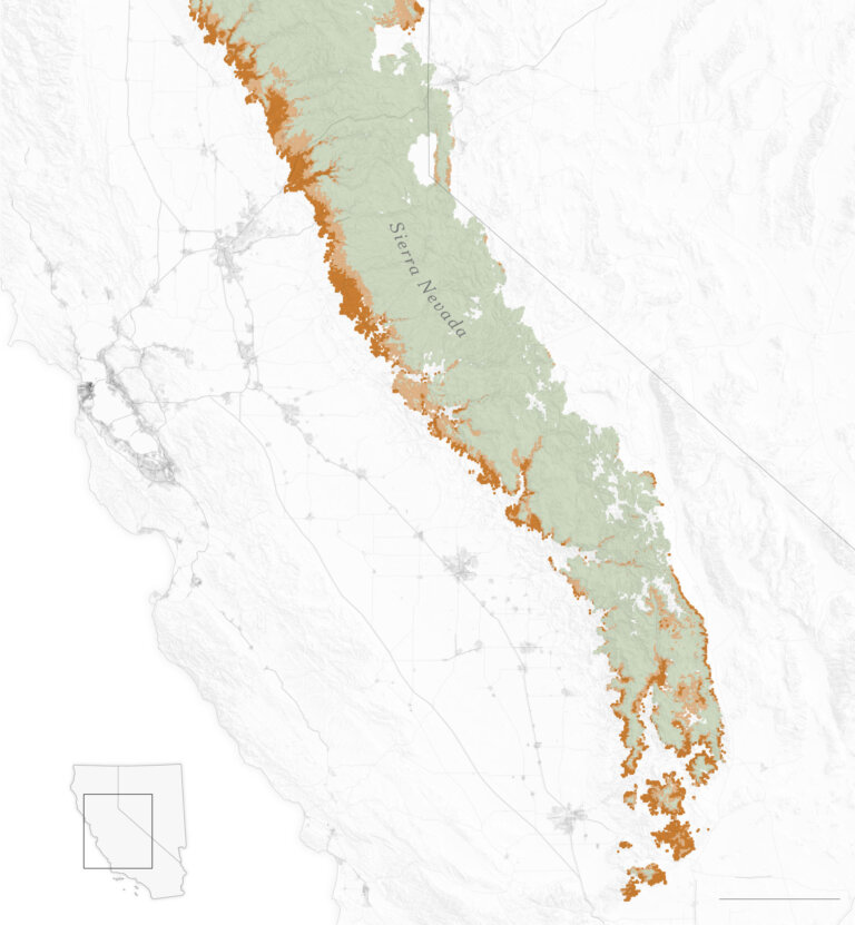 Mapping California’s ‘Zombie’ Forests