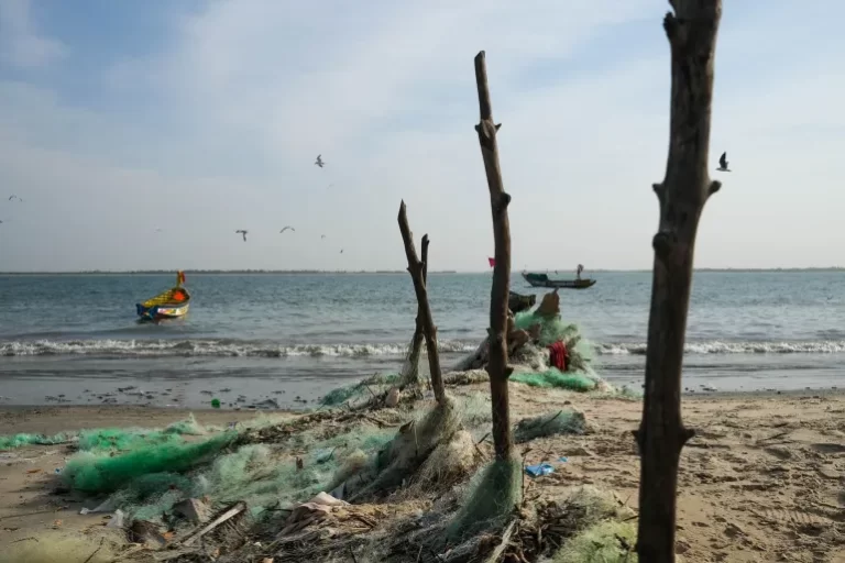 A Vanishing Coast And The Search For Solutions In Senegal