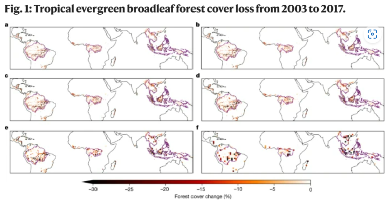 Tropical deforestation causes large reductions in observed precipitation