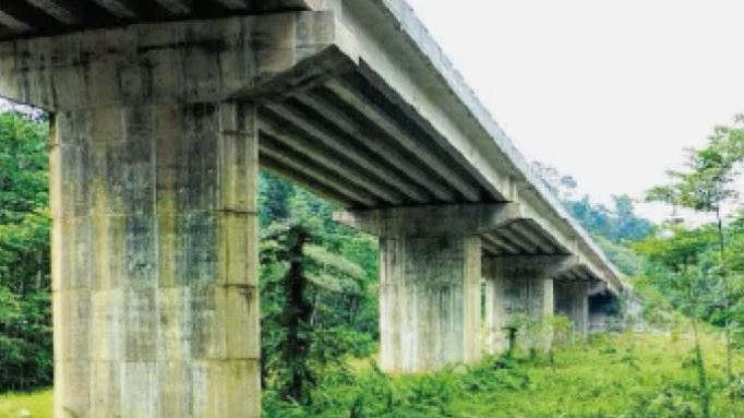 Pipes For Snakes, Tunnels For Elephants: Govt Plan To Avoid Roadkill On Chhattisgarh-Jharkhand Highway