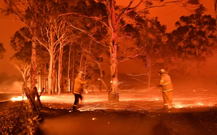 Smoke from Australian bushfires depleted ozone layer by up to 5% in 2020, study finds