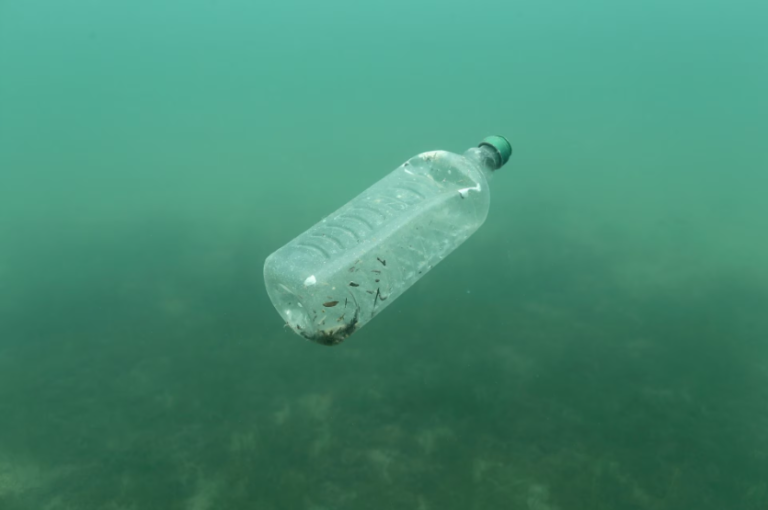 Plastic entering oceans could nearly triple by 2040 if left unchecked -research
