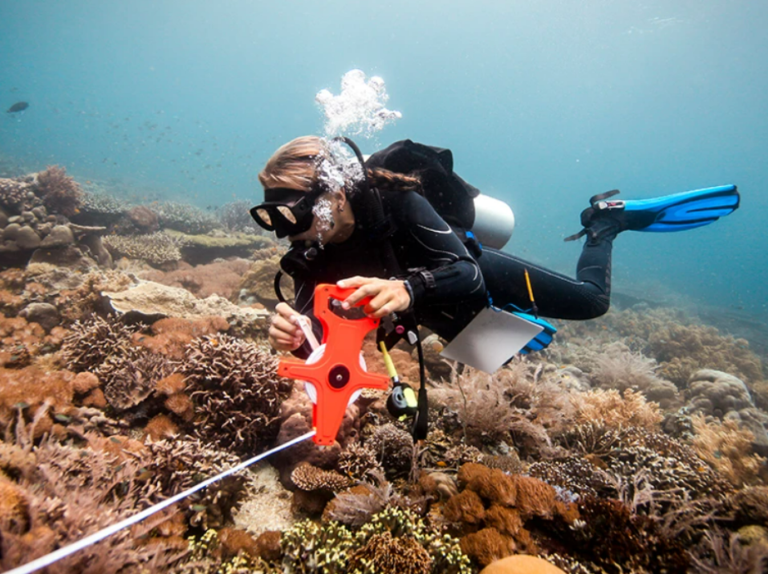 Breaking the bias: how to deliver gender equity in conservation