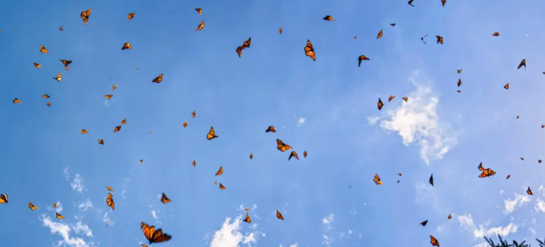 Helping Nature Help Us