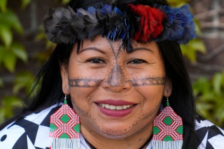 Indigenous leader from Brazil wins top environmental prize