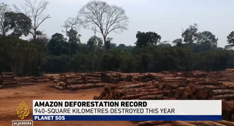 Lula government struggles to rein in deforestation in Brazil