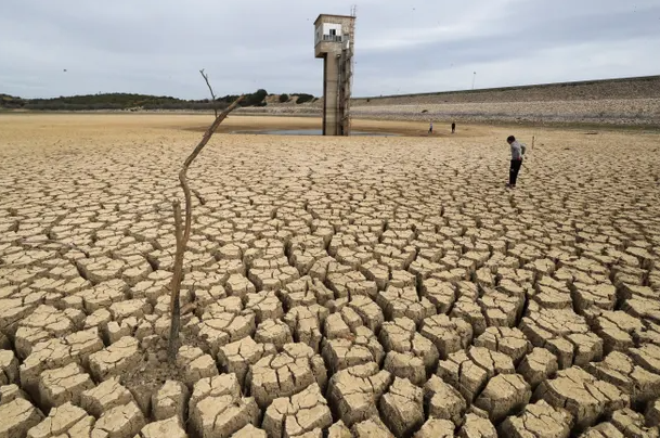 Water ban in drought-stricken Tunisia adds to growing crisis