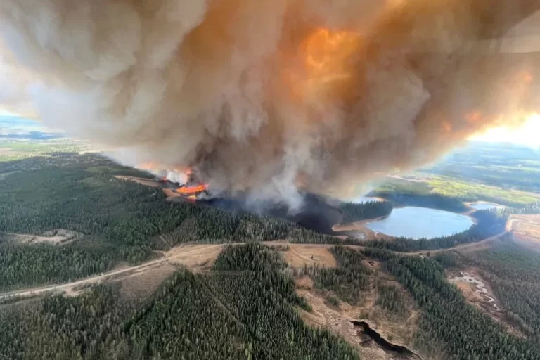 Canada’s Alberta announces state of emergency over wildfires