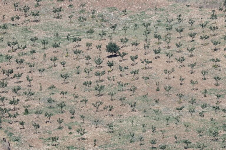 Global warming likely to breach 1.5C threshold for first time