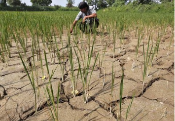 Explainer: Why El Nino is a concern for Indian monsoon rains?