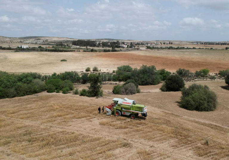 As drought withers Tunisian fields, state feels financial pinch