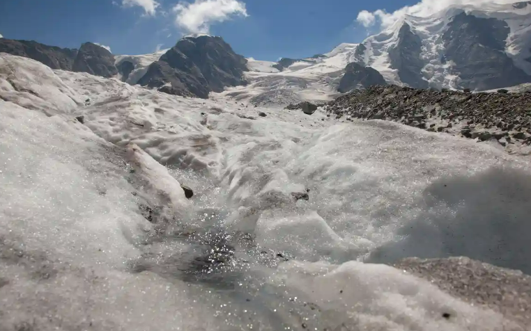 Melting glaciers in Alps threaten biodiversity of invertebrates, says study
