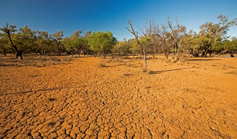 UN warns heat records could be broken as chance of El Niño rises