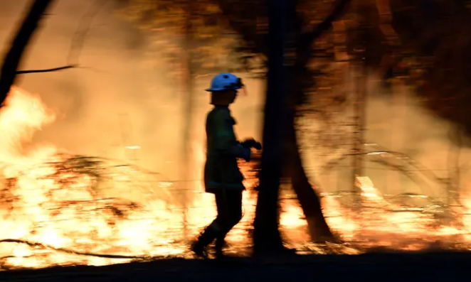 Black summer bushfires may have caused rare ‘triple dip’ La Niña, study suggests
