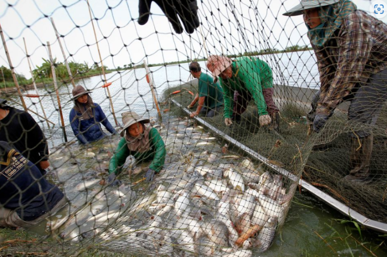 Climate, environmental change puts 90% of world’s marine food at risk, study says