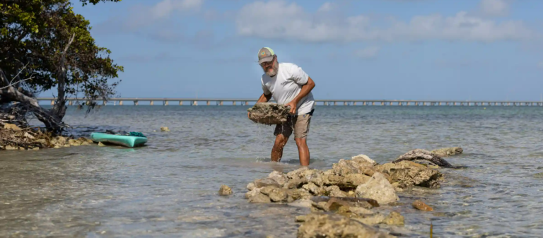 A couple’s quixotic quest to save their drowning island – one rock at a time