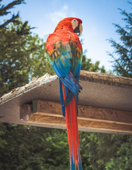 ECB flags stark economic risks from biodiversity loss