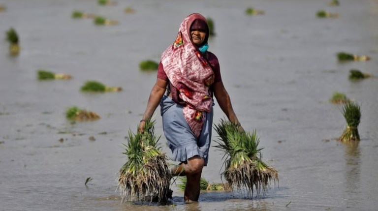 Why Indian farmers worry despite ‘average’ monsoon rains