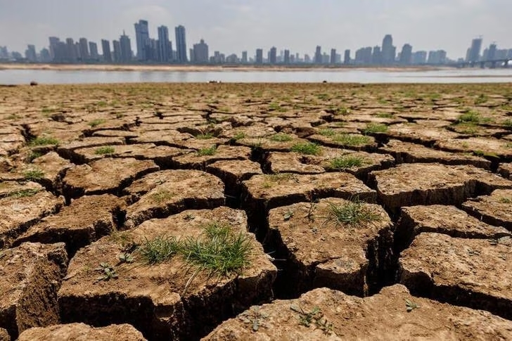 Cracks run through the partially dried-up river bed of the Gan River, a tributary to Poyang Lake during a regional drought in Nanchang, Jiangxi province, China, August 28, 2022. REUTERS/Thomas Peter