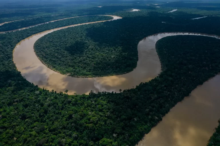 The Itaquai River in Brazil. The Amazon rainforest plays an important role in regulating Earth’s climate by pulling carbon dioxide out of the atmosphere.Credit...Victor Moriyama for The New York Times