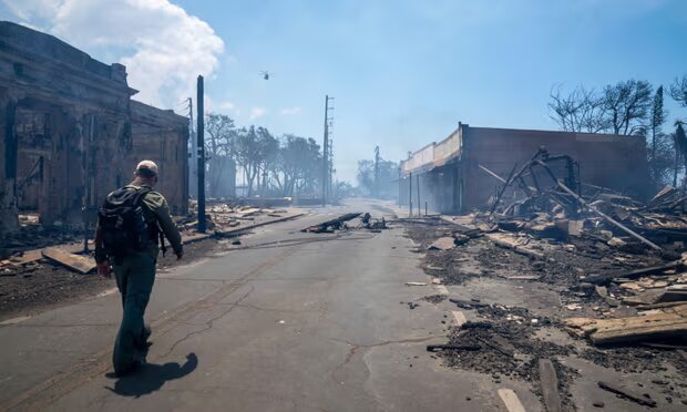 A man walks past wildfire wreckage on Wednesday, in Lahaina, Hawaii. Photograph: Tiffany Kidder Winn/AP